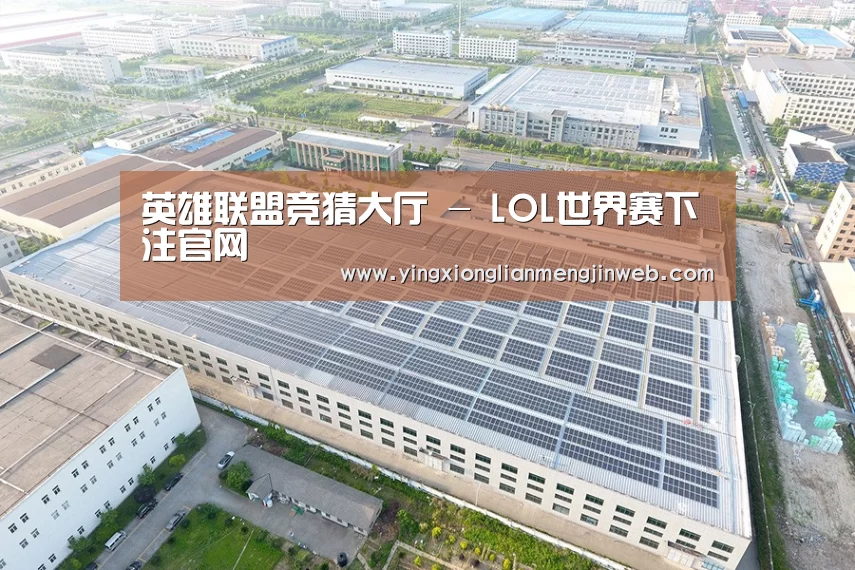 案例展示二