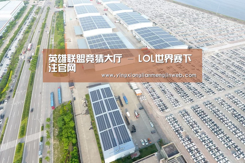 案例展示一