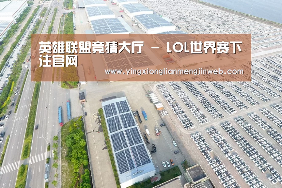 案例展示二